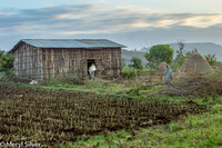 Farmhouse Near Bahir Dar