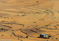 Farmland Near Axum