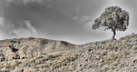 Down The Trail