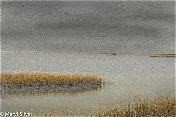 Winter Morning