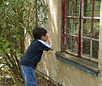 Peering In