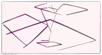 reeds, reflections, abstract