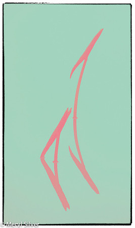 reeds, reflections, abstract