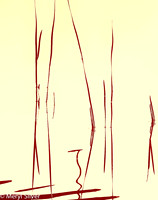 reeds, reflections, abstract