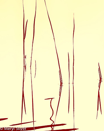 reeds, reflections, abstract
