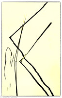 reeds, reflections, abstract