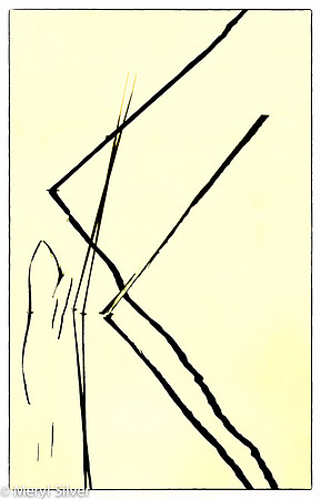 reeds, reflections, abstract