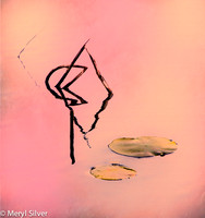 reeds, reflections, abstract