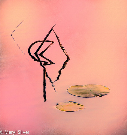 reeds, reflections, abstract