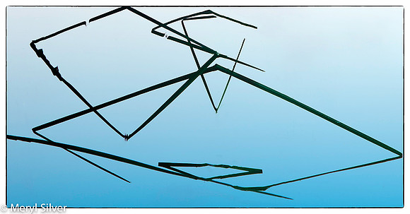 reeds, reflections, abstract