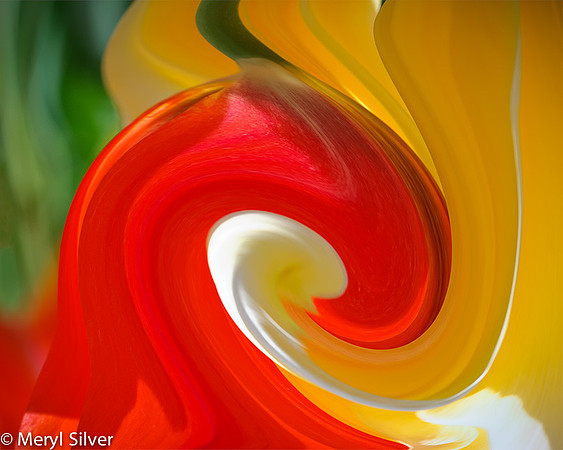 Nature Abstracted I