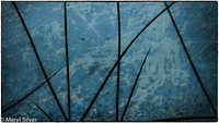 Bluegrass