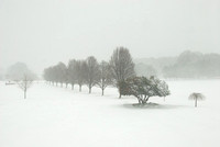 Snowed In